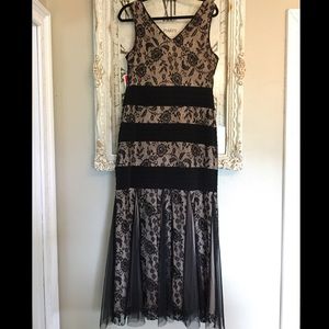 Candalite Lace Dress